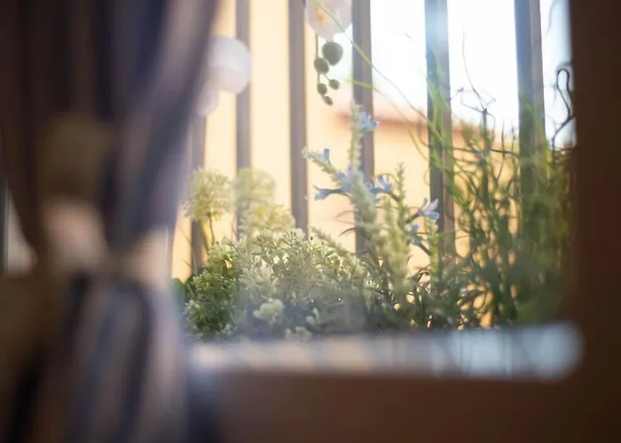 Dreaminbo - Centro Storico, Comfort E Relax * Bologna