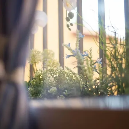 Dreaminbo - Centro Storico, Comfort E Relax * Bolonia